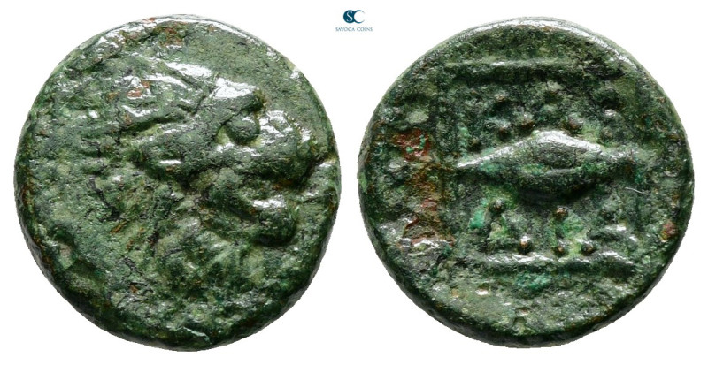 The Thracian Chersonese. Cardia circa 357-309 BC. 
Bronze Æ

14 mm, 2,64 g
...