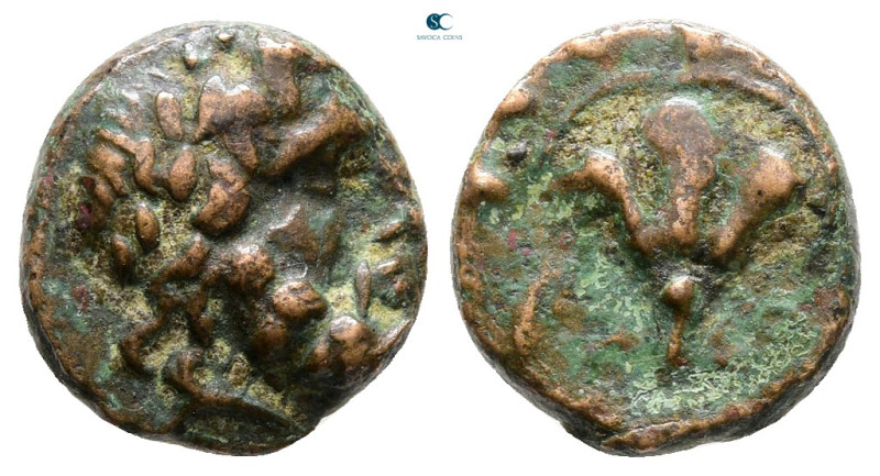 Islands off Caria. Rhodos circa 120-84 BC. 
Bronze Æ

11 mm, 1,97 g



Ve...