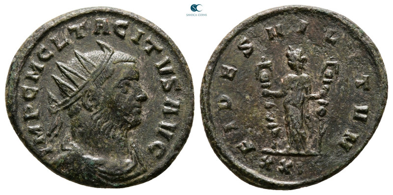 Tacitus AD 275-276. Rome
Antoninianus Æ

22 mm, 3,98 g



Very Fine