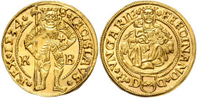 FERDINAND I (1526 - 1564)&nbsp;
1 Ducat, 1534, KB, 3,54g, Husz 895&nbsp;

UNC | UNC