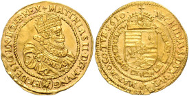 MATTHIAS II (1608 - 1619)&nbsp;
1 Ducat, 1610, Wien, 3,46g, MzA s. 96&nbsp;

EF | EF , mírně zvlněný | slightly wavy, RR! | Mimořádný exemplář! | E...