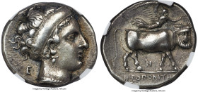 CAMPANIA. Neapolis. Ca. 350-325 BC. AR didrachm (21mm, 7.30 gm, 7h). NGC XF 4/5 - 3/5, Fine Style, die shift. Head of nymph right, wearing broad headb...