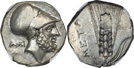 LUCANIA. Metapontum. Ca. 340-330 BC. AR stater (19mm, 7.74 gm, 11h). NGC AU 4/5 - 4/5, Fine Style. Head of Leucippus right, wearing Corinthian helmet ...