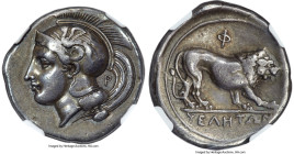 LUCANIA. Velia. Ca. 340-300 BC. AR didrachm (23mm, 7.49 gm, 3h). NGC VF 5/5 - 4/5. Philistion group. Head of Athena left, wearing crested Attic helmet...