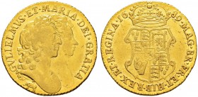 GROSSBRITANNIEN 
 William III. und Mary, 1688-1694. Guinea 1689. 8.18 g. S. 3427. Fr. 305. Sehr schön.