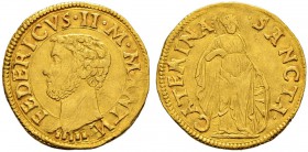 ITALIA 
 Mantova 
 Federico II Gonzaga, 1519-1540. Ducato. 3.42 g. CNI 17. R.M. 6. Fr. 525. Rarissima. Bell'esemplare. qSpl.