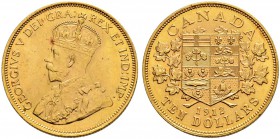 KANADA 
 George V. 1910-1936. 10 Dollars 1912. 16.72 g. Schl. 850. Fr. 3. Kl. Kratzer. Vorzüglich.
