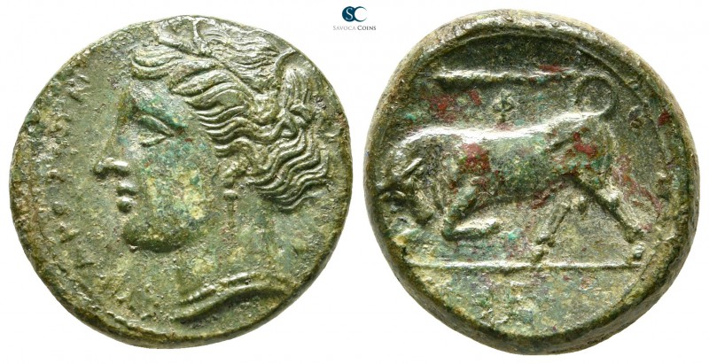 Sicily. Syracuse. Hieron II 275-215 BC. 
Hemilitron Æ

18mm., 5,89g.

ΣYPAK...
