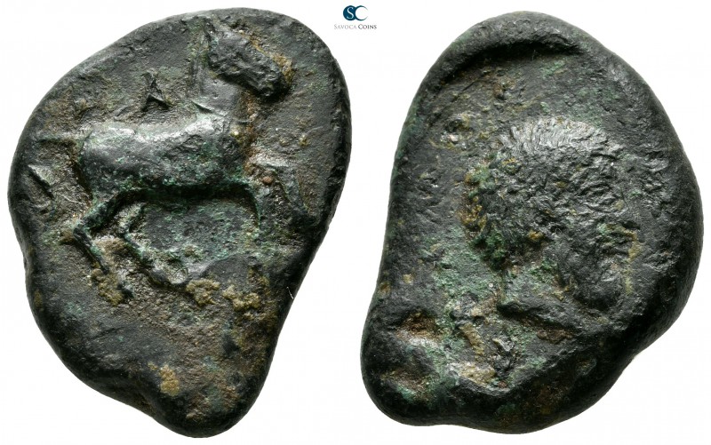 Akarnania. Palairos 400-300 BC. 
Tetradrachm Æ

28mm., 16,48g.

Horse reari...