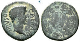 Paphlagonia. Sinope. Drusus, son of Tiberius Died AD 23. Struck circa AD 18-19. Bronze Æ