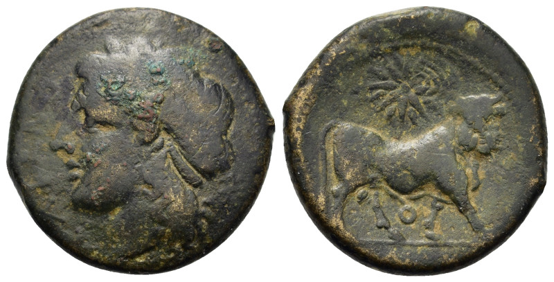 Italy, Northern Campania, Cales, c. 317/10-270 BC. Æ (21,5mm, 6.6g). Laureate he...