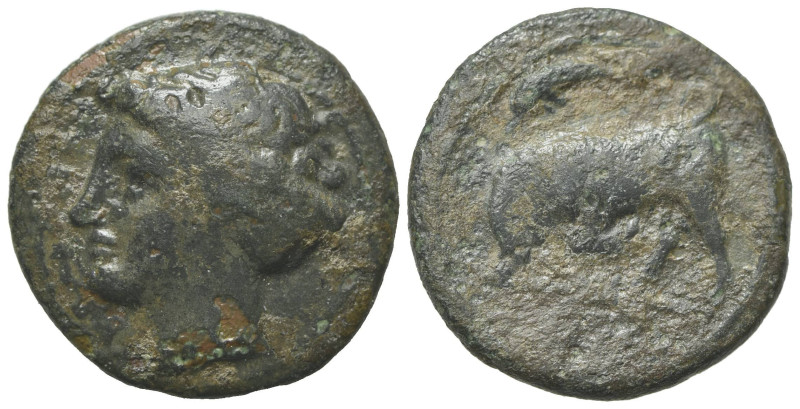 Sicily, Syracuse. Agathokles (317-289 BC). Æ (15.5mm, 2.68g, 3h), c. 317-310. He...