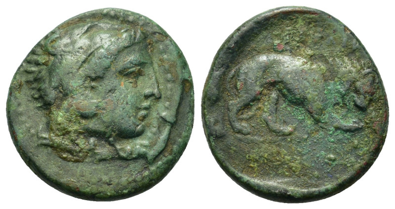 Macedon, Amphipolis, c. 148-32/1 BC. Æ (16,4mm, 3.6g). Head of Herakles r., wear...