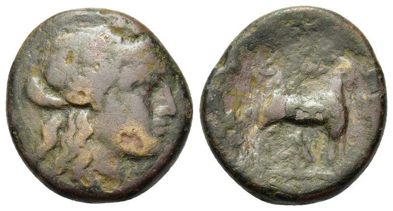 Thessaly, Atrax (3rd-2nd centuries BC). Æ Trichalkon (20,8mm, 9.1g). Laureate he...