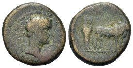 Augustus (27 BC-AD 14). Macedon, Uncertain (Philippi?). Æ (18,7mm, 6g). Bare head r. R/ Two founders driving yoke of oxen r., plowing pomerium. RPC I,...