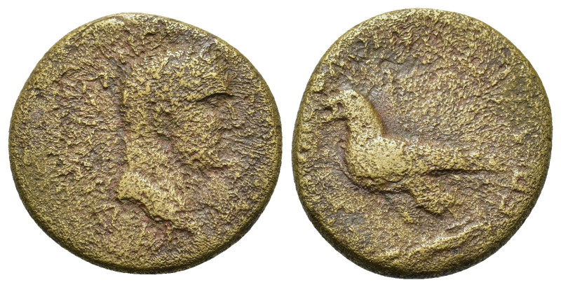 Vespasian (69-79). Phrygia, Amorion. Æ (21mm, 5.3g). Laureate head r. R/ Eagle s...