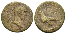 Vespasian (69-79). Phrygia, Amorion. Æ (21mm, 5.3g). Laureate head r. R/ Eagle standing l. RPC II, 1423.