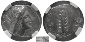 LUCANIA, Metapontum. Circa 330-280 BC. AR Stater. NGC-VF.