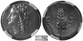 LUCANIA, Metapontum. Ca 330-290 BC. AR Stater. NGC-Choice VF.