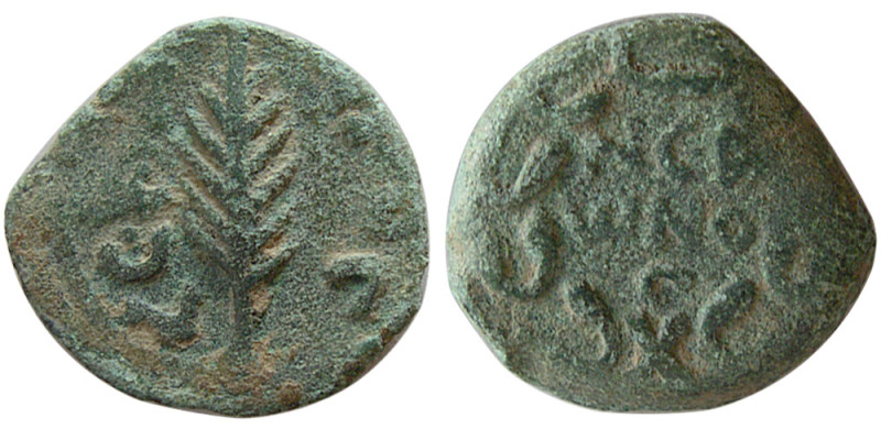 JUDAEA PROCURATORS. Procuis Festus, AD. 59-62. Æ Prutah (2.67 gm; 17 mm). Under ...