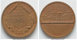 "Merit of Honor - Brazilian-German Exhibition" wooden Medal 1881-Dated UNC, 40mm. 5.48gm. HID09801242017 © 2023 Heritage Auctions | All Rights Reserve...