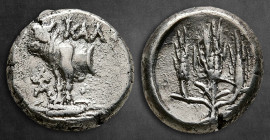 Bithynia. Kalchedon  circa 367-340 BC. Hemidrachm AR