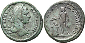 THRAKIEN. PAUTALIA 
Caracalla, 198 - 217 n. Chr. AE ø 30mm (14,19g). Vs.: ΑΥΤ Μ ΑΥΡΗ ΑΝΤΩΝΙΝΟC, drapierte Büste mit Lorbeerkranz n. r. Rs.: ΟΥΛΠΙΑC Π...