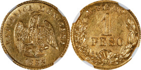 MEXICO. Gold Peso, 1885-Mo M. Mexico City Mint. NGC MS-62.

Fr-157; KM-410.5. Full struck with consistent coloration and alluring gleam over the sur...
