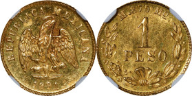 MEXICO. Gold Peso, 1891-Mo M. Mexico City Mint. NGC MS-63.

Fr-157; KM-410.5. Mintage: 746. Stunning sharp with eye-catching luster in the minimally...