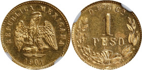 MEXICO. Gold Peso, 1901-Cn Q. Culiacan Mint. NGC MS-64.

Fr-160; KM-410.2. A handsome near-Gem Peso, with brilliant luster and strong eye appeal, wi...