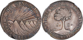 GUATEMALA. Central American Republic. 8 Reales, 1835-NG M. Nueva Guatemala Mint. NGC EF Details--Reverse Cleaned.

KM-4. Coin alignment variety. Des...