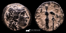 Seleukos I Nikator Bronze Unit 7.66 g. 21 mm. Antioch 312-281 BC gVF