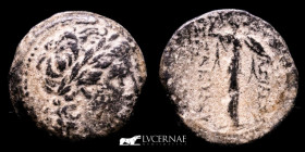 Seleukos I Æ Bronze Unit 8.50 g., 21 mm. Antioch 300-281 BC gVF