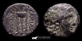 Antiochos I Soter Bronze Unit 3.97 g. 16 mm. Antioch 261-246 BC gVF