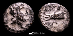 Phoenicia, Arados. Bronze Unit -- g. - mm. Ancient Greek 187/5 B.C. gVF