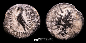 Antiochos VIII Gryptos Æ Bronze Unit 4.95 g. 18 mm. Antioch 121-97 AD VF/gVF