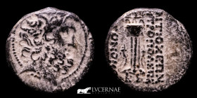 Syria, Seleucis and Pieria. Bronze Unit 5.32 g., 19 mm. Antioch 38 BC Good very fine (MBC)