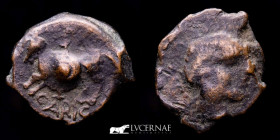 Carisa Bronze Semis 6.22 g., 19 mm. Hispania, Bornos (Cádiz). 100-50 B.C. gVF