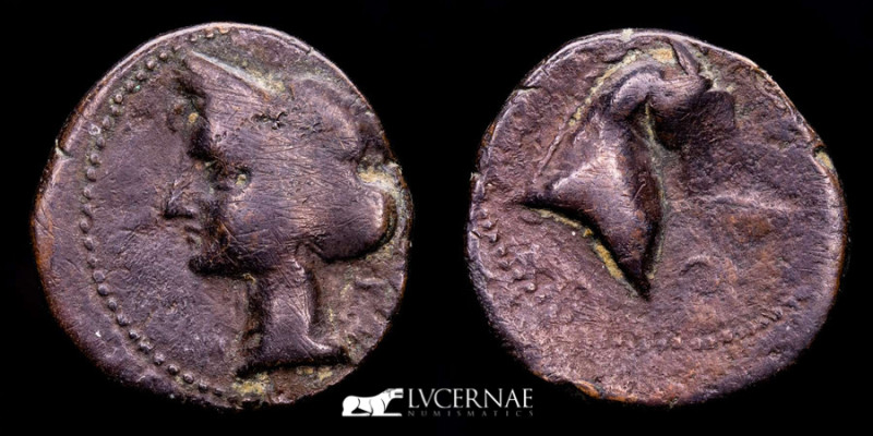Ancient Hispania - Carthaginian bronze Calco (6.88 g, 22 mm). 220-215 BC.

Tanit...
