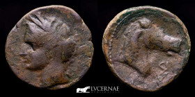 Ancient Hispania, carthaginians Bronze calco 8,57 g. 23 mm. - 215 - 208 B.C. Good very fine