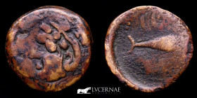 Gades Æ Bronze Semis 4.96 g. 20 mm. Cadiz 200-100 BC. gVF