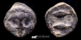 Ancient Hispania, Gades bronze 1/4 Calco 1.89 g. 13 mm. Cadiz 200 - 100 B.C. GVF