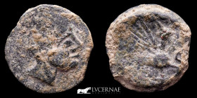 Iliberri Bronze As 12.96 g., 25 mm. Hispania, Granada 150-20 a.C. gVF