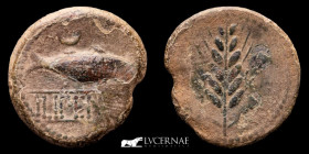 Ilipense / Ilipa bronze As 15,60 g, 31 mm. Hispania 120-20 B.C. gVF