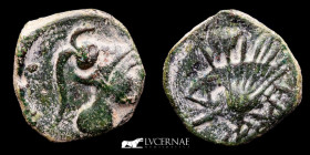 Laelia bronze Semis 5,14 g., 19 mm. Hispania - Sevilla 50-20 B.C.