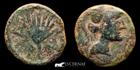 Laelia bronze Semis 4,73 g., 17 mm. Hispania - Sevilla 50-20 B.C.