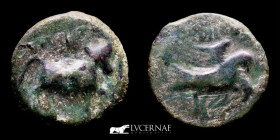 Obulco Bronze Semis 7,21 g., 20 mm. Ancient Hispania. 200-150 a.C.