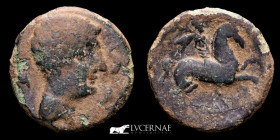 Salduie bronze As 11,37 gr. 27 mm Salduie II B.C.
