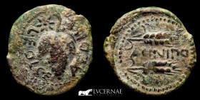 Acinipo bronze As 7,70 g., 24 mm. Ronda, Malaga mint. 150-50 B.C. nEF