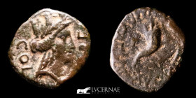 Augustus Bronze AE12 0,96 g., 12 mm. Cabellio (Galia) 23 B.C. gVF